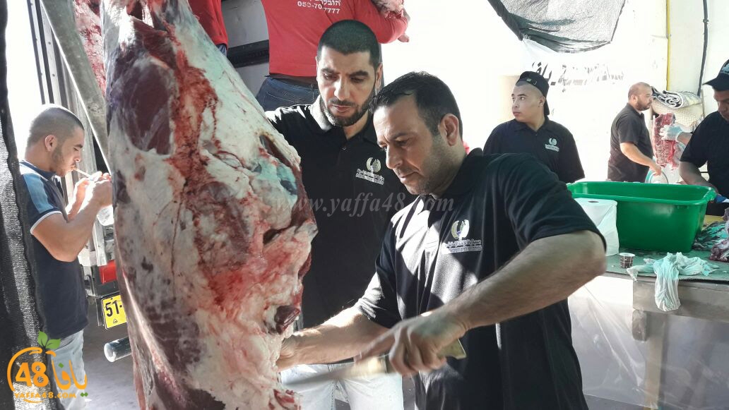 lod8om ada73y (50).jpg